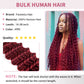 Human Braiding Hair for Boho Braids 2 Bundles 100g Deep Wave Bulk Human Hair 100% Unprocessed 12A Brazilian Virgin Burgundy Color No Weft Hair Extensions for Boho Knotless Braids Hair 14-28 Inch (#99J)