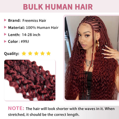 14-28 inch Water Wave Human Braiding Hair (99J)