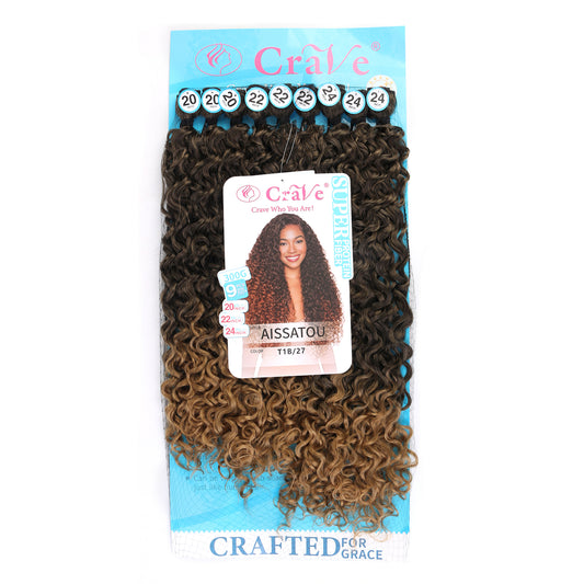 AISSATOU Synthetic Hair Set 9 pieces / 20-22-24inch